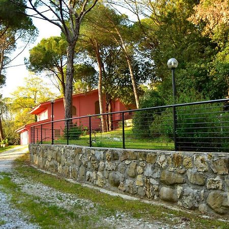Agriturismo Poggio Al Pino مونتيلوبو فيورنتينو المظهر الخارجي الصورة