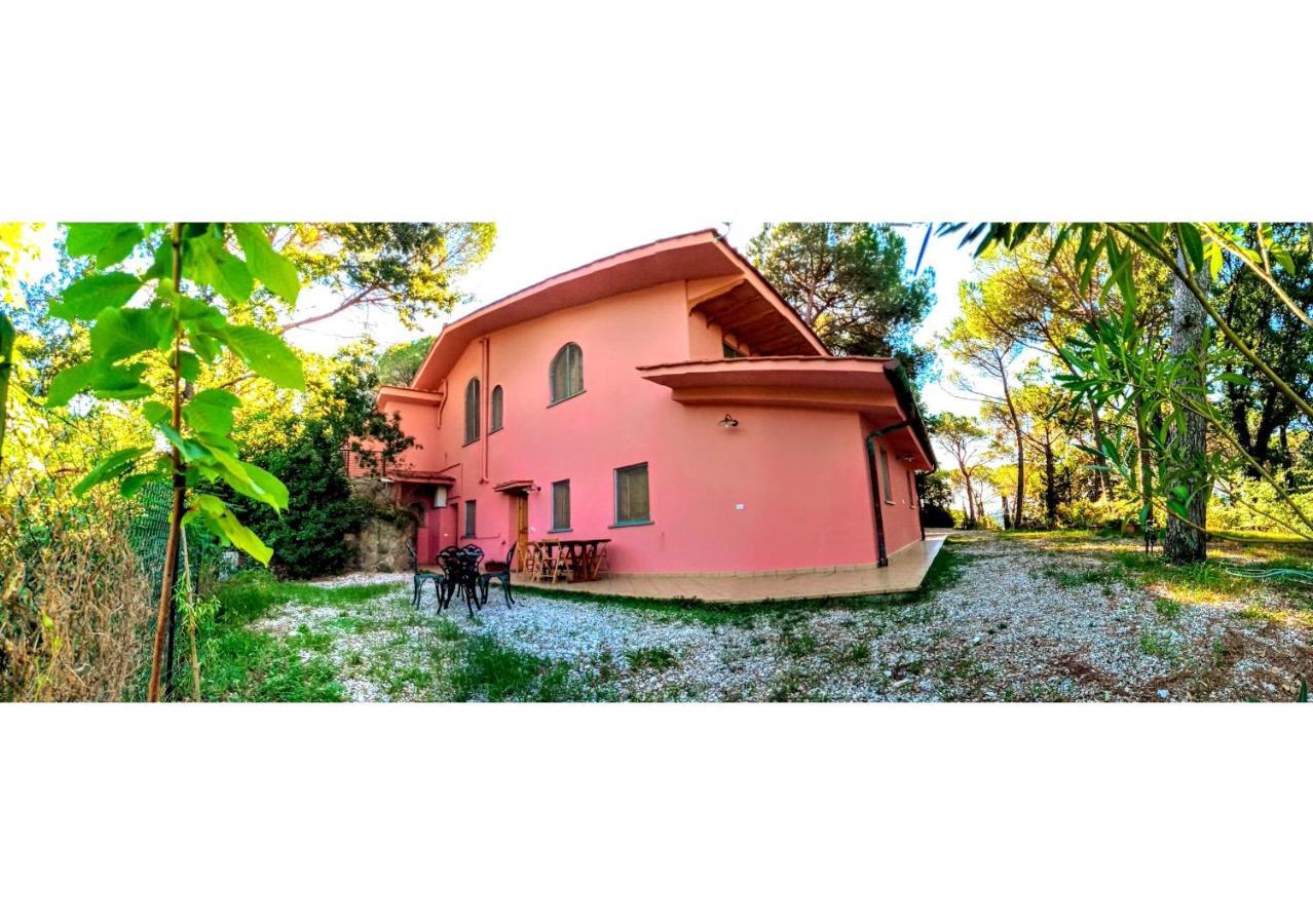 Agriturismo Poggio Al Pino مونتيلوبو فيورنتينو المظهر الخارجي الصورة