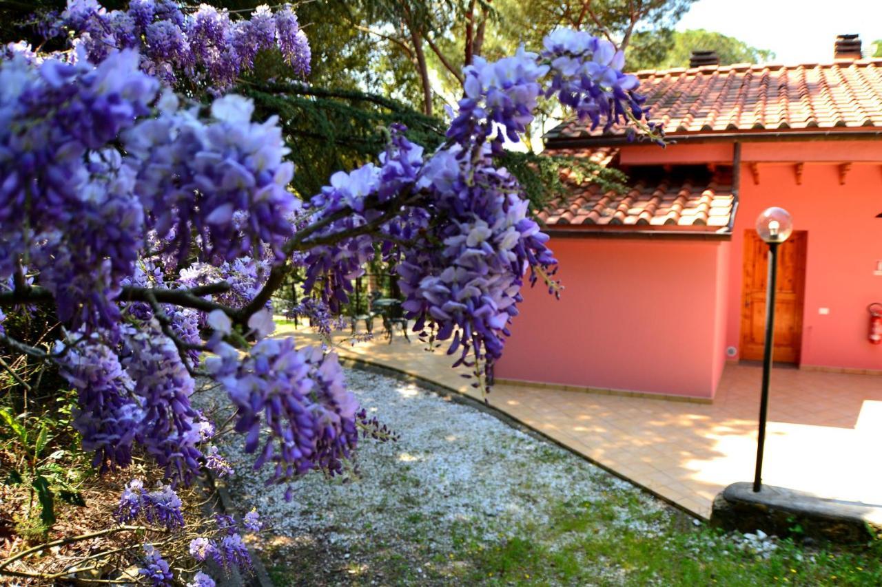 Agriturismo Poggio Al Pino مونتيلوبو فيورنتينو المظهر الخارجي الصورة